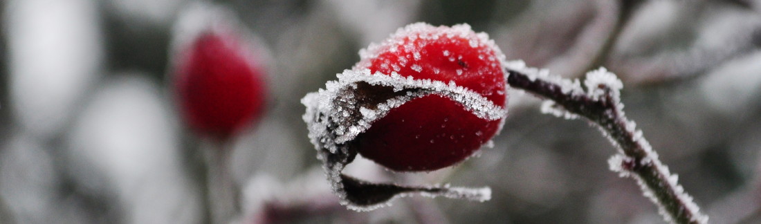 Снимка, подходяща за месеца